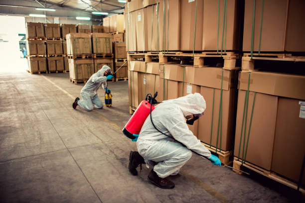 Best Flea Control Services  in Youngstown, NY