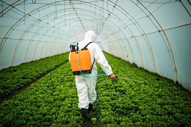 Best Affordable Pest Control Services  in Youngstown, NY