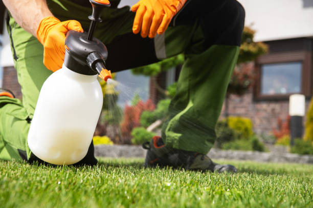 Best Emergency Pest Control  in Youngstown, NY