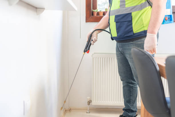Best Wasp Removal Services  in Youngstown, NY