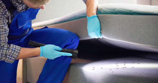 Best Best Pest Control Companies  in Youngstown, NY