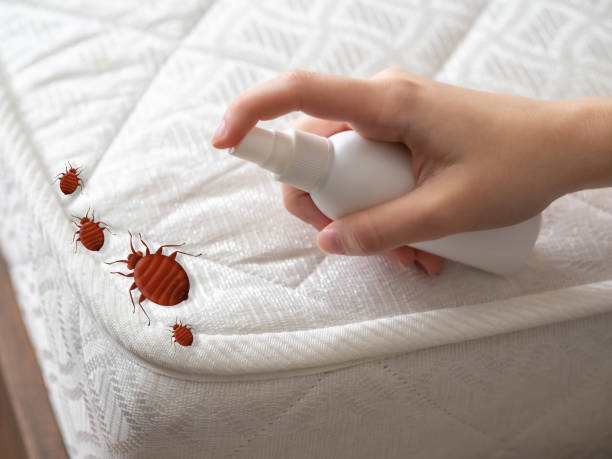 Best Pest Removal Services  in Youngstown, NY