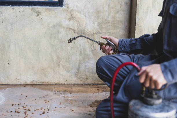 Best Commercial Pest Control Services  in Youngstown, NY